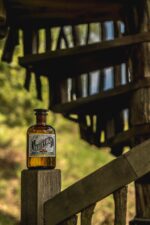 Iradier Y Bulfy Dry Gin - Imagen 4